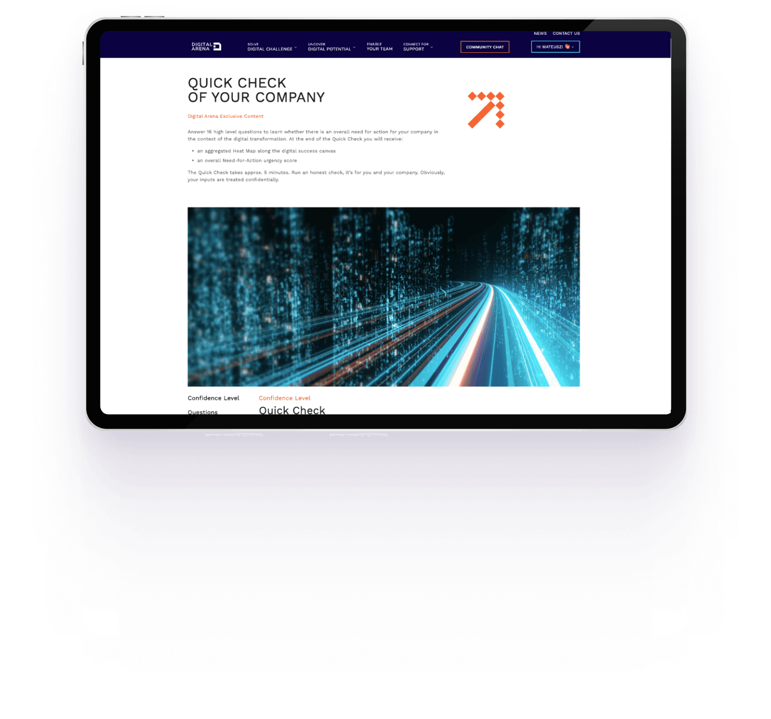 Digital Arena consulting portal